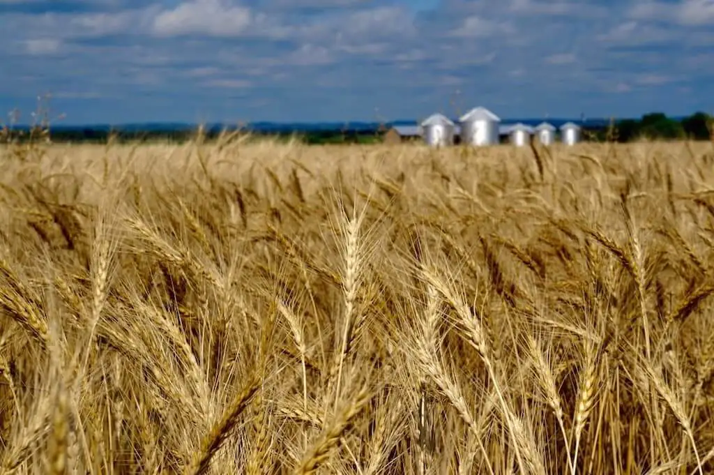 Silos em propriedade