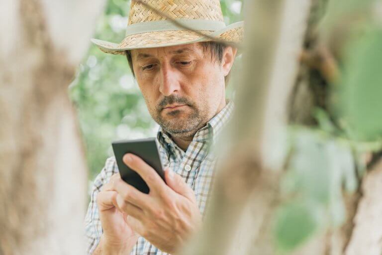 Produtor verificando celular na lavoura